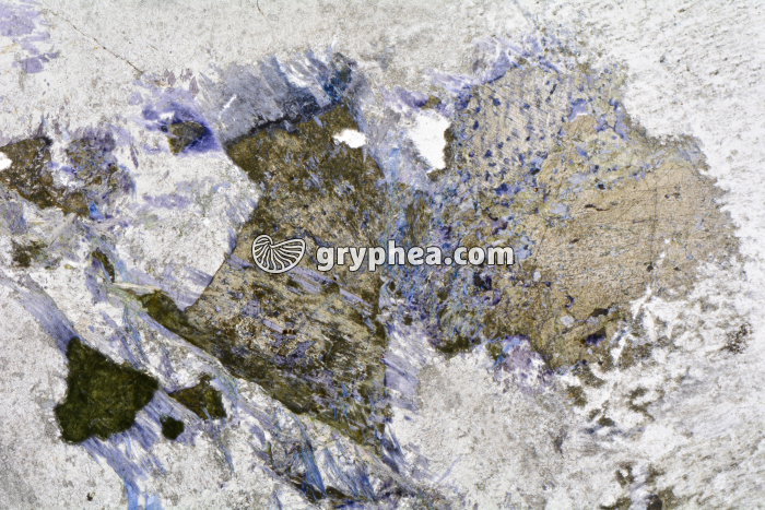 Métagabbro à glaucophane LPNA x3,5 - gryphea.com